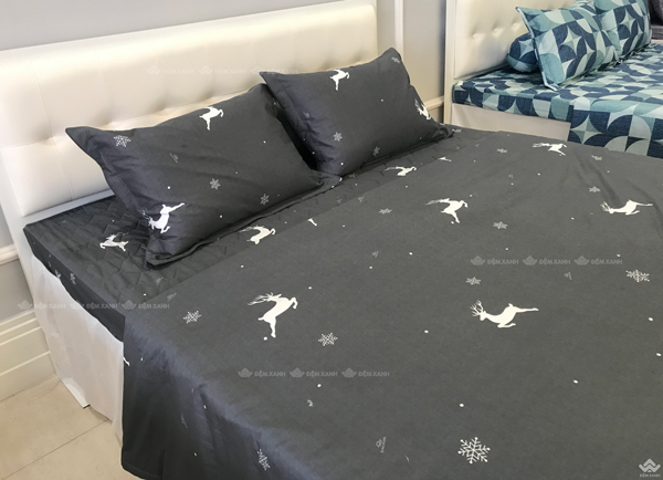 Vỏ chăn xuân thu Sông Hồng basic cotton BC22067