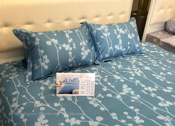 Chăn ga gối Sông Hồng Basic cotton BC23080