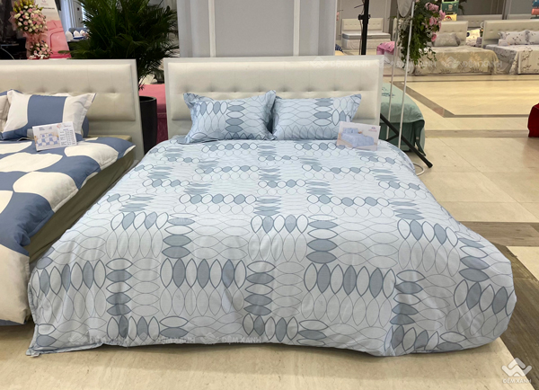 Chăn đông Sông Hồng Basic cotton BC23074