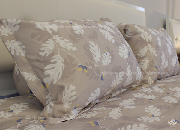 Chăn ga gối Sông Hồng Basic cotton BC23084