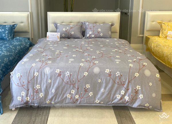 Chăn đông Sông Hồng Basic cotton BC23075