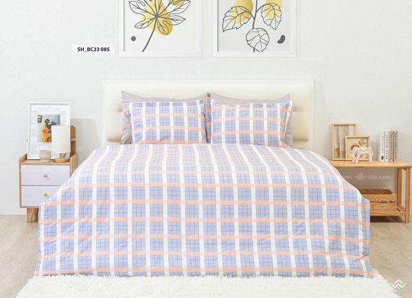Chăn ga gối Sông Hồng Basic cotton BC23085