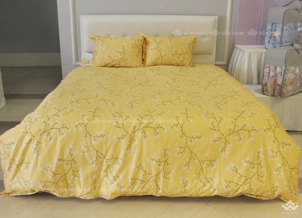 Chăn đông Sông Hồng Basic cotton BC23076