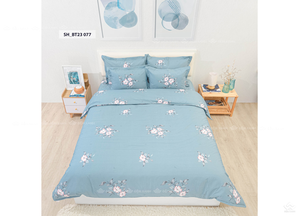 Chăn ga gối Sông Hồng Basic TC BT23077