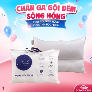 Ruột gối công thái học Sông Hồng Organic