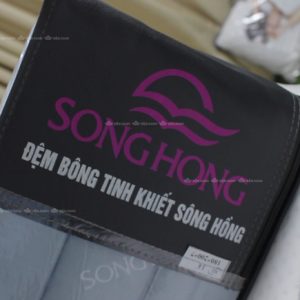 Đệm bông tinh khiết Sông Hồng vỏ gấm - Ảnh 12