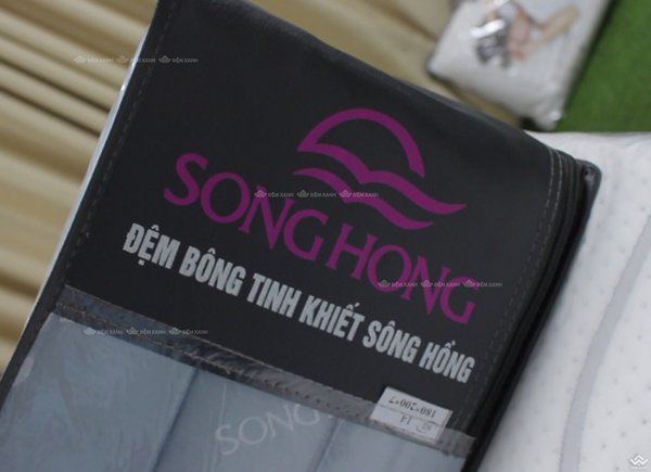 Đệm bông tinh khiết Sông Hồng vỏ gấm - Ảnh 12