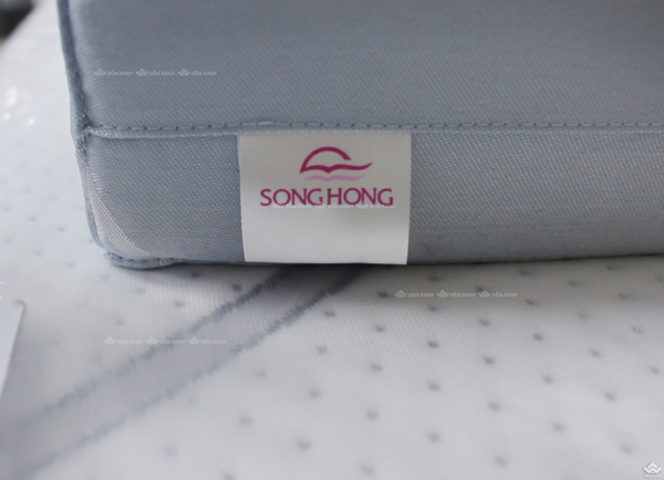 Đệm bông tinh khiết Sông Hồng vỏ gấm - Ảnh 13