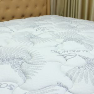 Đệm Sông Hồng Back Essential cao cấp gập 2 (Hot)/ nguyên tấm - Ảnh 6