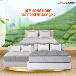 Đệm Sông Hồng Back Essential cao cấp gập 2 (Hot)/ nguyên tấm - Ảnh 7