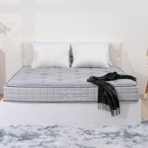 Đệm Sông Hồng Back Essential cao cấp gập 2 (Hot)/ nguyên tấm