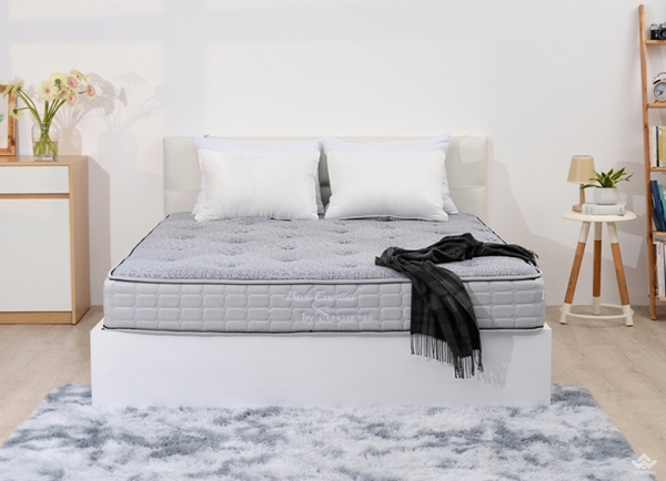 Đệm Sông Hồng Back Essential cao cấp gập 2 (Hot)/ nguyên tấm