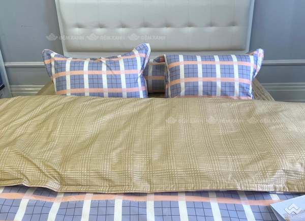 Chăn ga gối Sông Hồng Basic cotton BC23085 - Ảnh 7