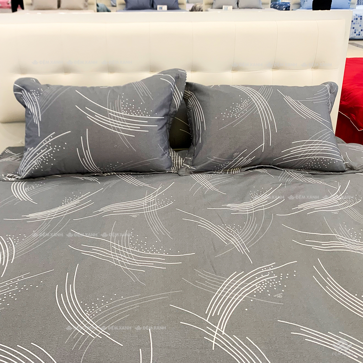 Chăn ga gối Sông Hồng Basic cotton BC24101 - Ảnh 5