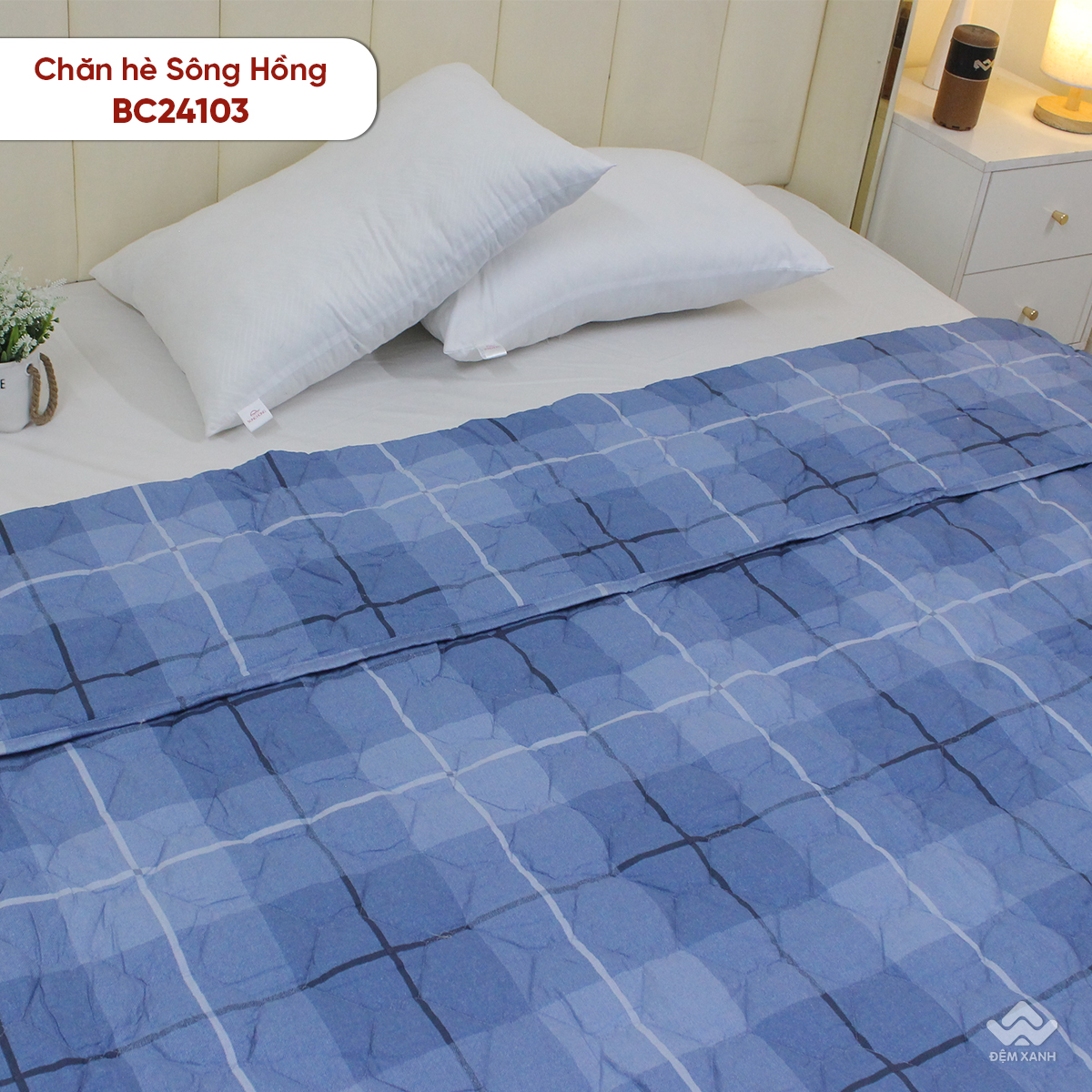 Chăn hè Sông Hồng cotton BC24103 - Ảnh 6
