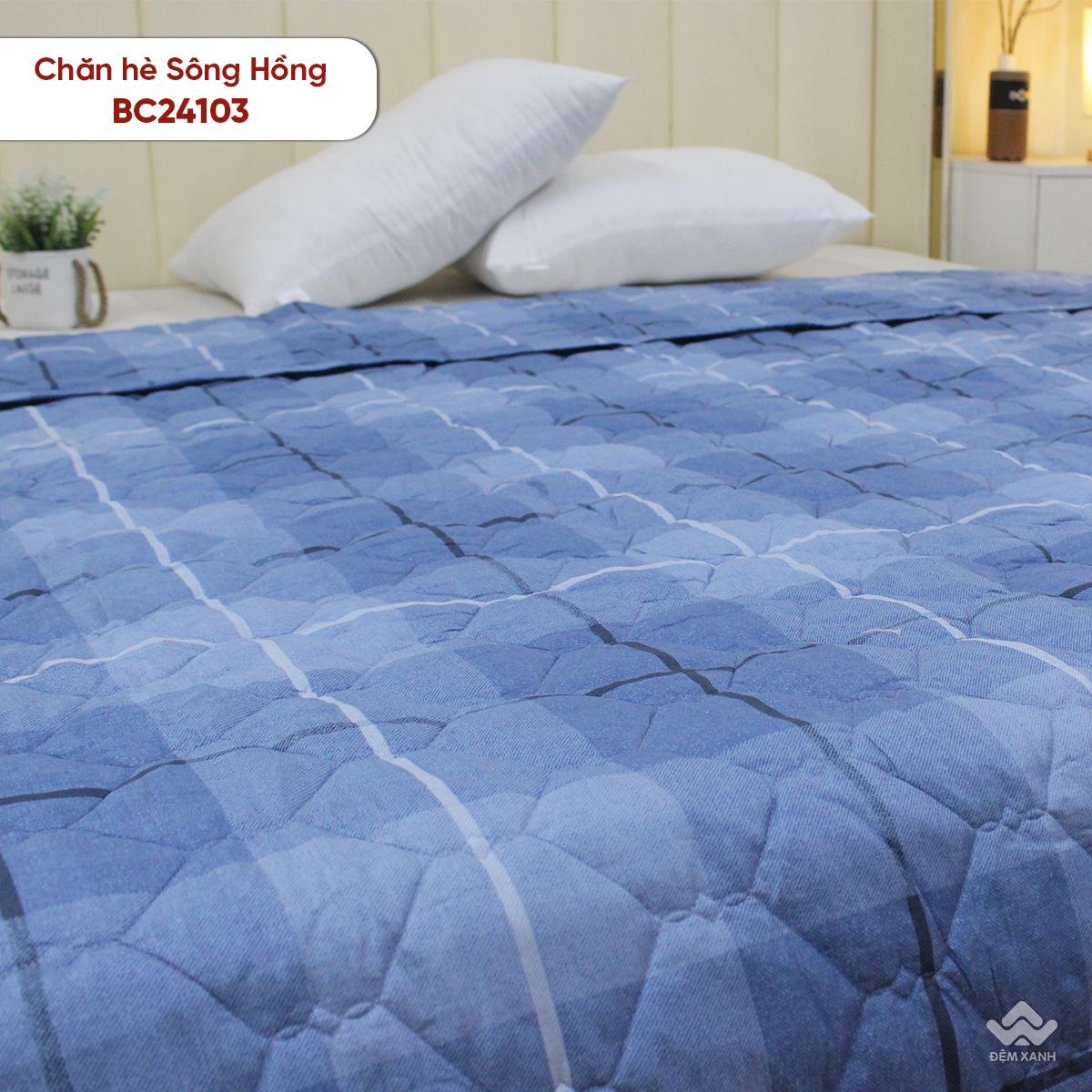 Chăn hè Sông Hồng cotton BC24103 - Ảnh 7