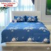 Chăn đông Sông Hồng adore AC25102