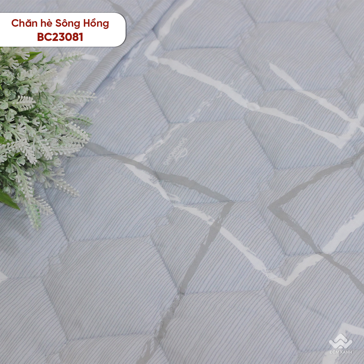 Chăn hè Sông Hồng cotton BC23081 - Ảnh 7