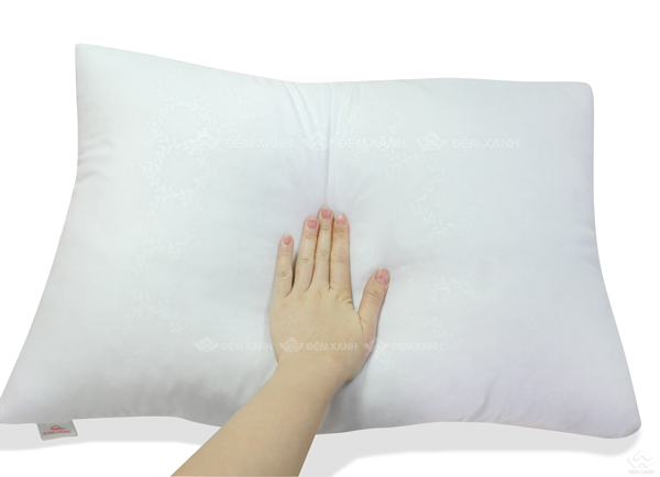 Ruột gối đầu Sông Hồng - Ảnh 5