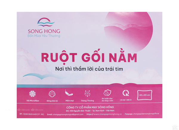Ruột gối đầu Sông Hồng - Ảnh 4