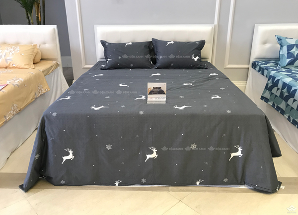 Vỏ chăn xuân thu Sông Hồng basic cotton BC22067
