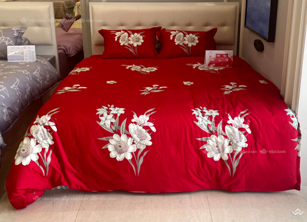 Vỏ chăn xuân thu Sông Hồng basic cotton BC23086