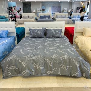 Vỏ chăn đông Sông Hồng basic cotton BC24101