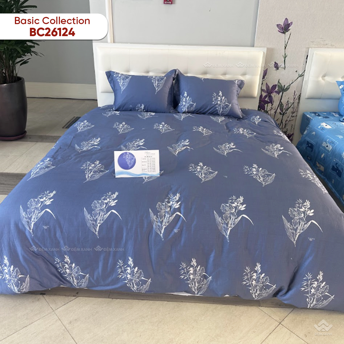 Chăn đông Sông Hồng Basic cotton BC26124