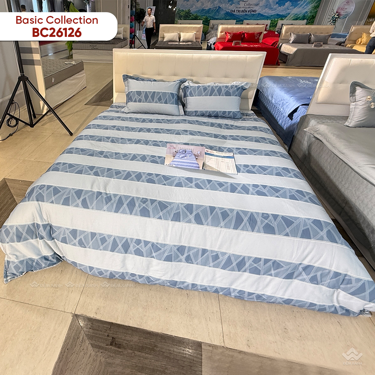 Chăn đông Sông Hồng Basic cotton BC26126 - Ảnh 4