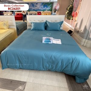 Chăn ga gối Sông Hồng Basic cotton BC26201 - Ảnh 4