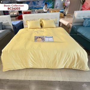 Vỏ chăn xuân thu Sông Hồng basic cotton BC26203 - Ảnh 3